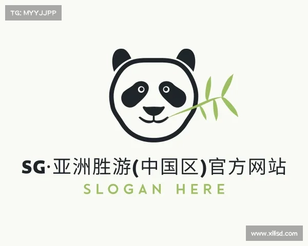 网址SG·亚洲胜游(中国区)官方网站